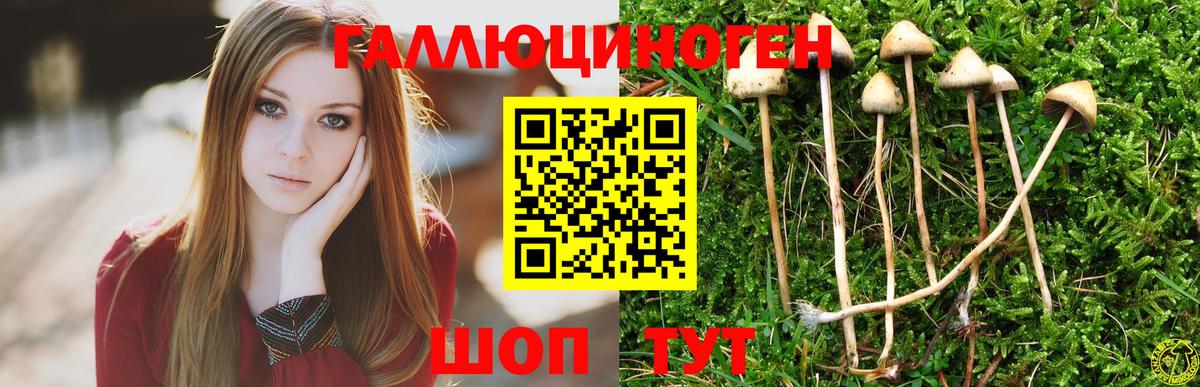 Галлюциногенные грибы Psilocybe  Галлюциногенные грибы мухоморы  Ачинск  Вход с VPN 